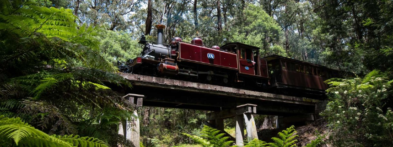 Puffing Billy train on trestle bridge