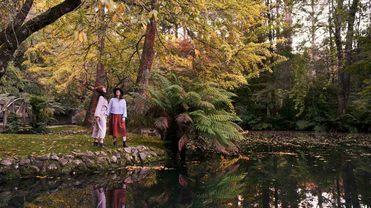Two women enjoying the autumn leaves by the pond in the Alfred Nicholas Memorial Gardens
