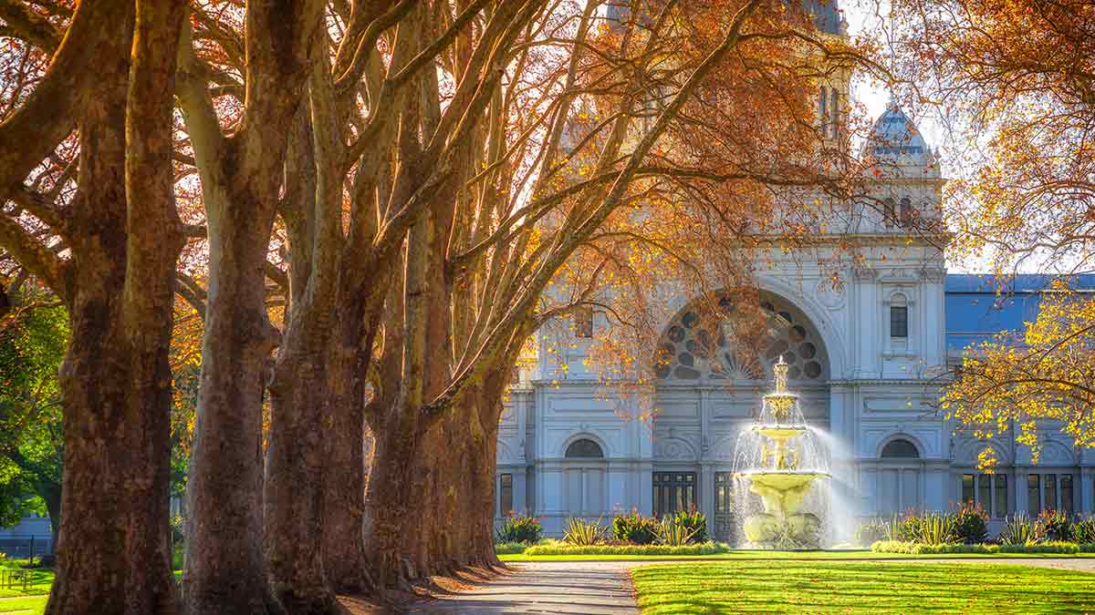Royal Exhibition Building and avenue of golden trees in Carlton Gardens in autumn.