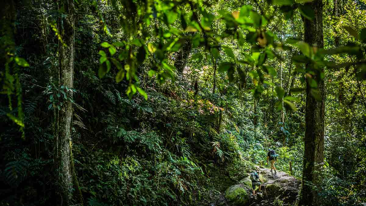 People walking Kokoda Track in Papua New Guinea