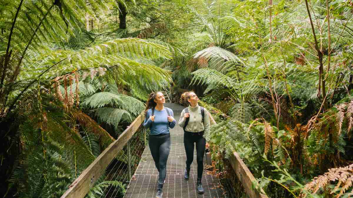 two women with backpacks walking on an elevated boardwalk in the rainforest