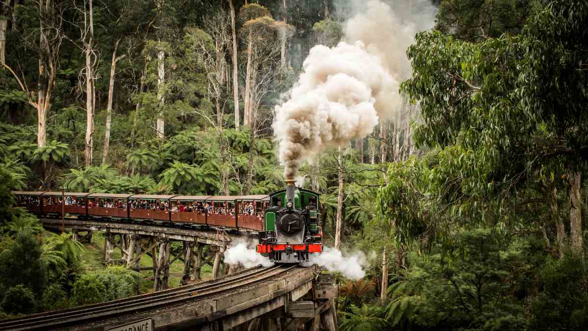heritage steam train on timber trestle railway