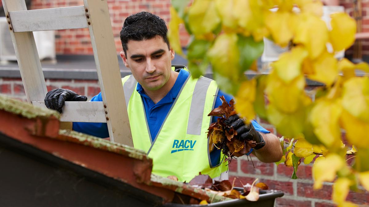 person removing leaves from gutters on roof