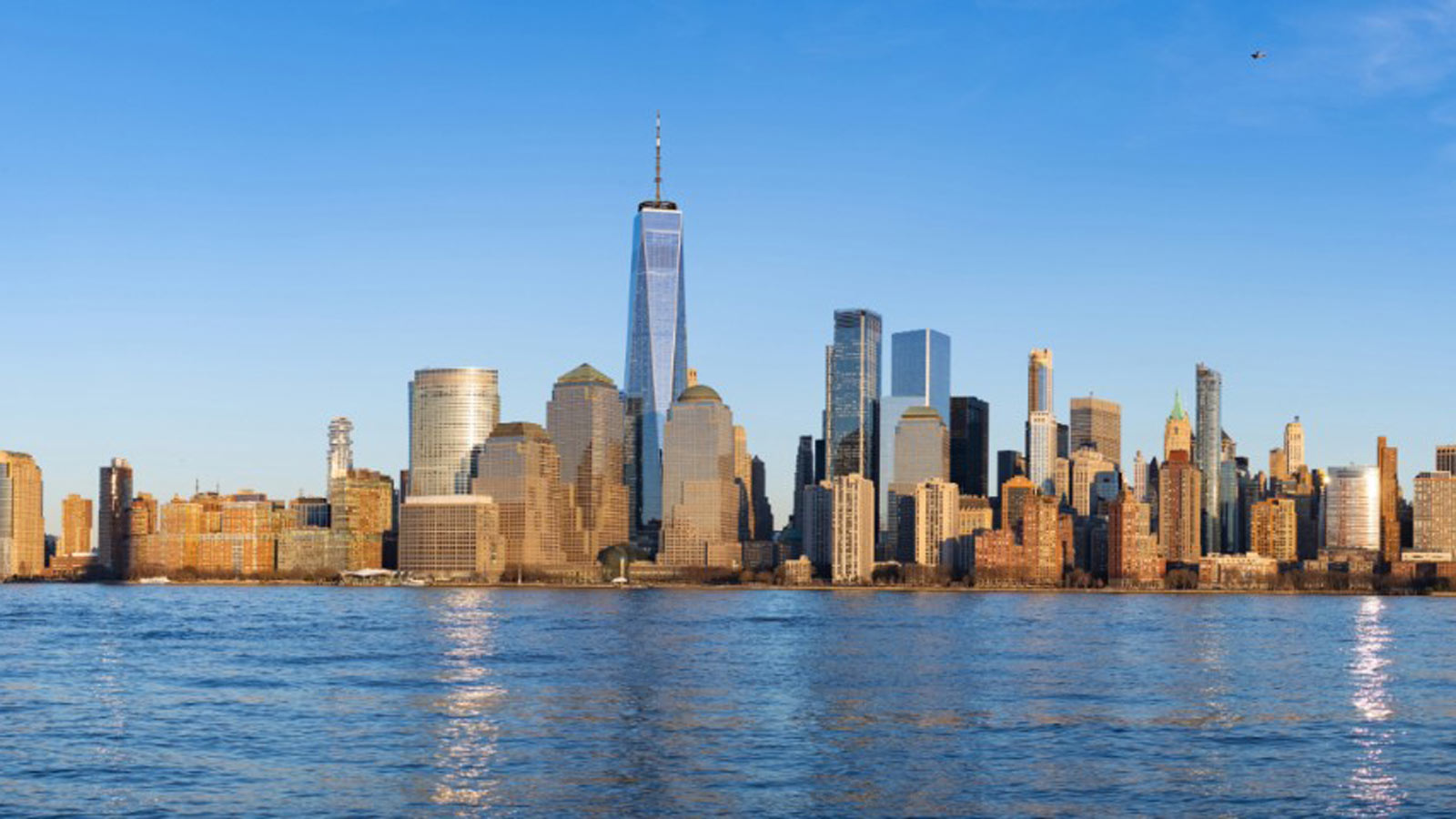 Skyscrapers on the horizon next to water in America.