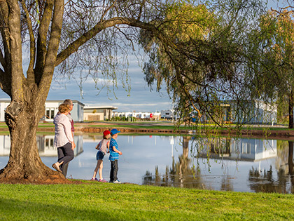Parents and two children standing by a large tree at RACV Cobram Resort, while looking out at cabins across a lake.
