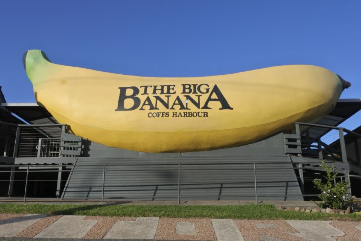 The big banana