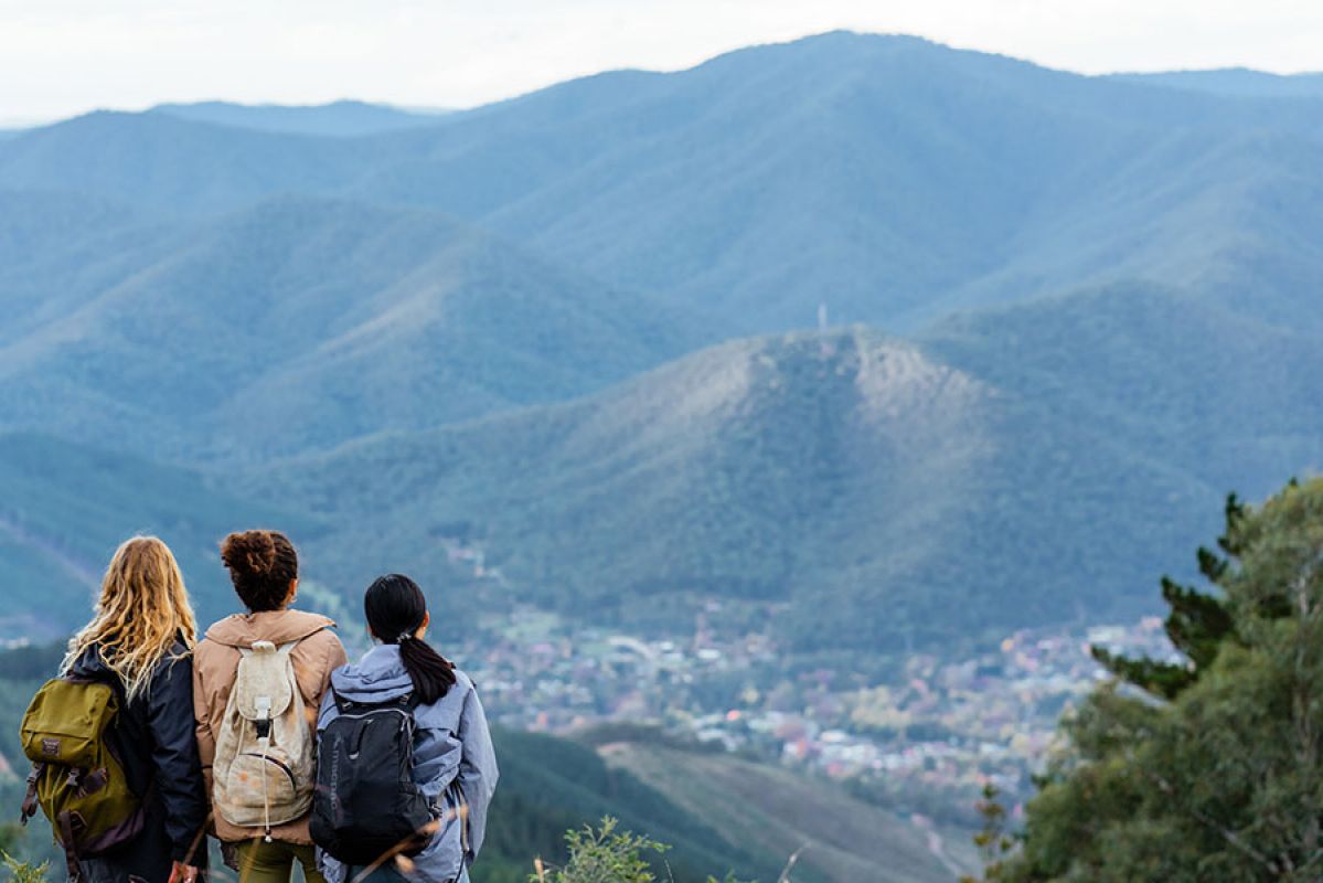 couple walking hand in hand on gravel garden path under blossoming trees