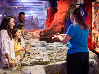 A group of people attending a workshop at Melbourne Aquarium 