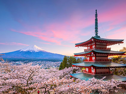 Mountain Fuji and Chureito red pagoda with cherry blossom sakura at sunset