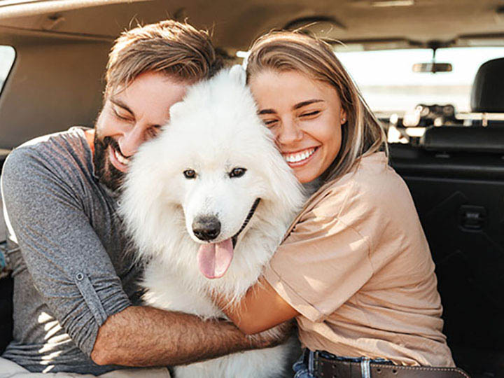 Couple hugging their white, fluffy dog in the back of their car.