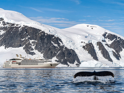 Cruise ship on the ocean with a whale in the distance