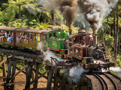 Oyffing Billy going through the rainforest with tourists sitting out the windows