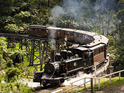 Puffing Billy heritage steam train riding through the Dandenong Ranges rainforest.