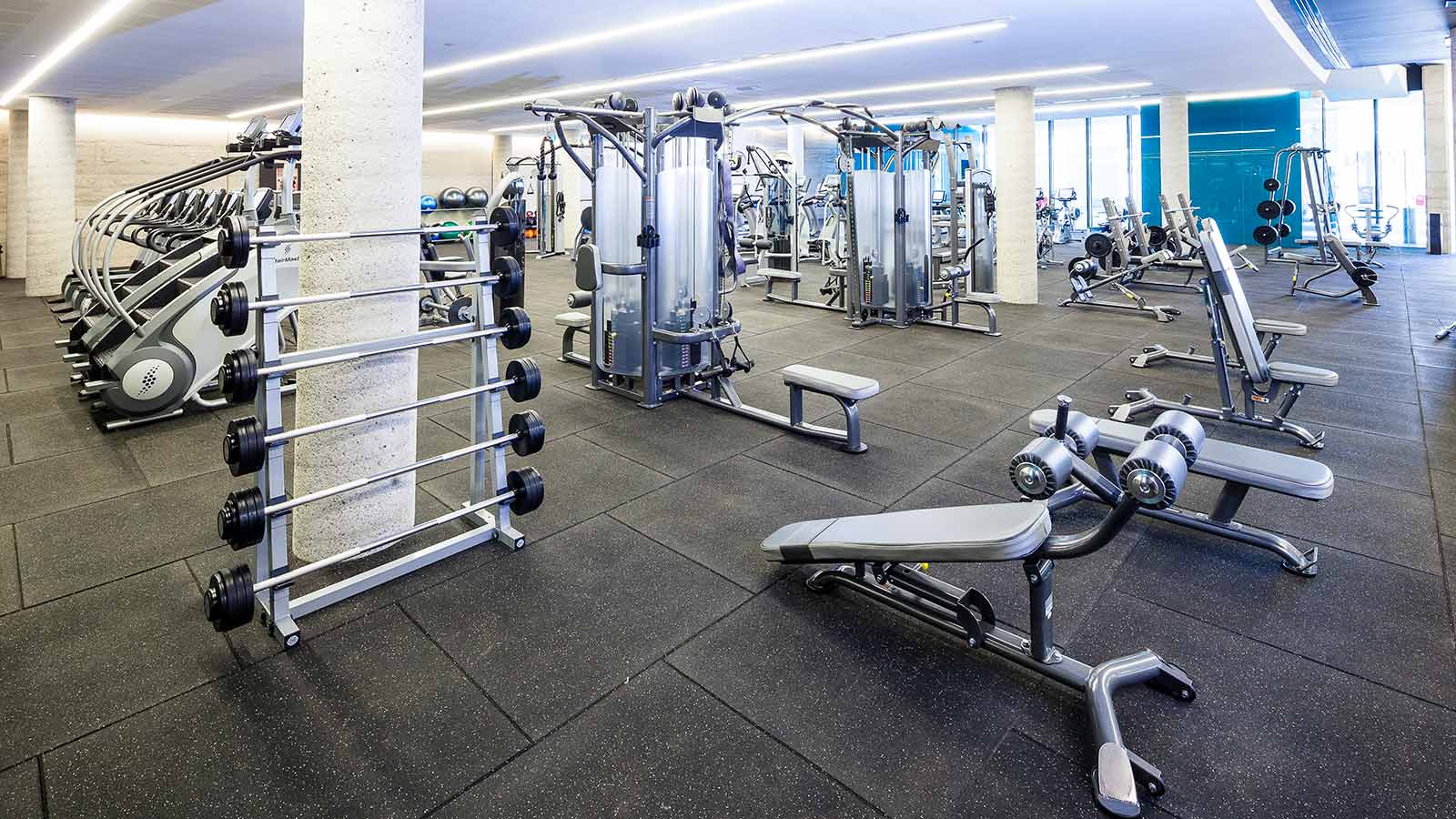 Barbell racks, hanging weights, stair climbers and yoga balls at RACV Torquay Resort's One Lifestyle fitness centre.
