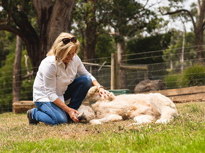 Woman kneeling on grass to pet dog.