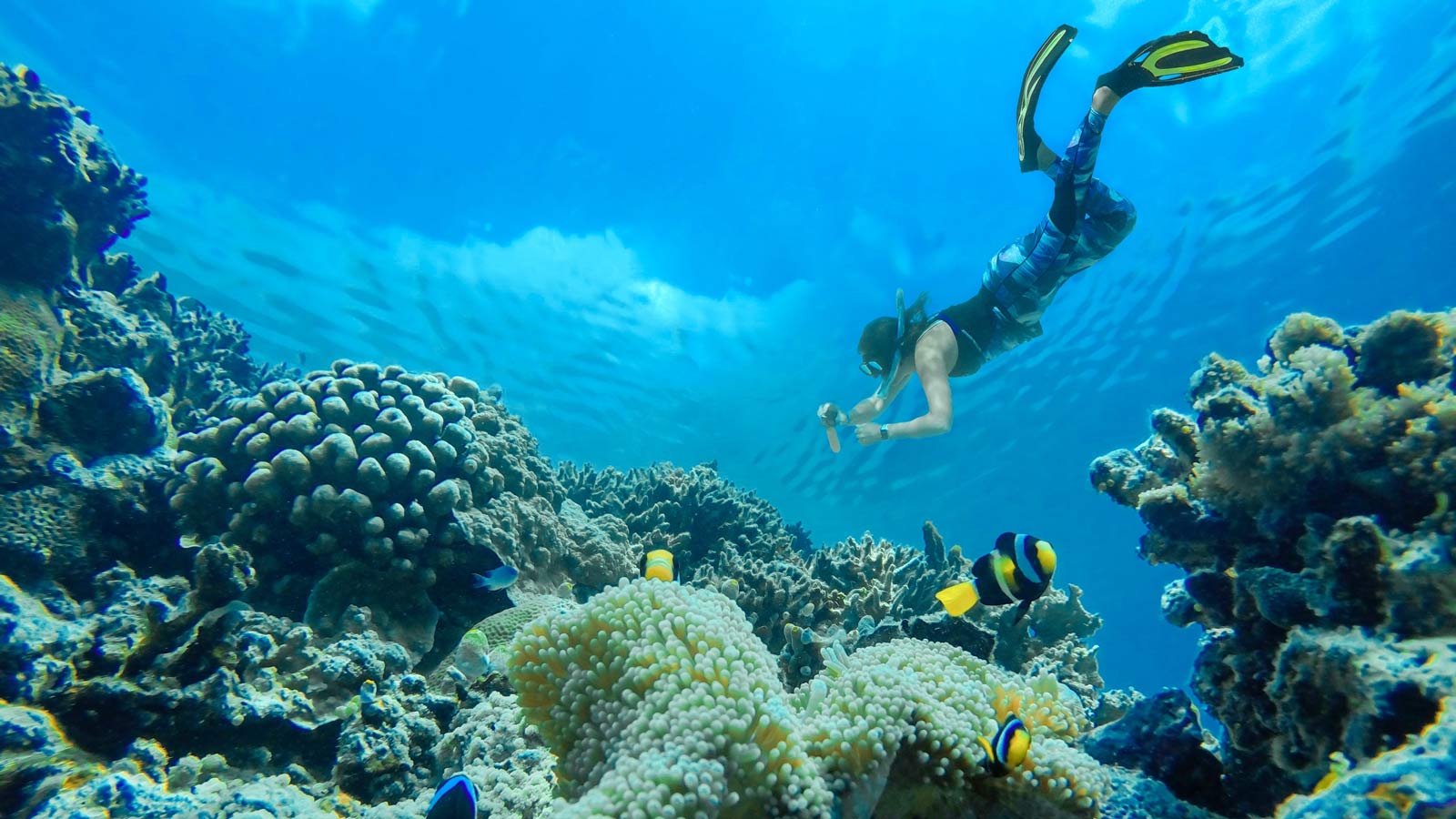 Woman scuba diving with colourful fish and coral